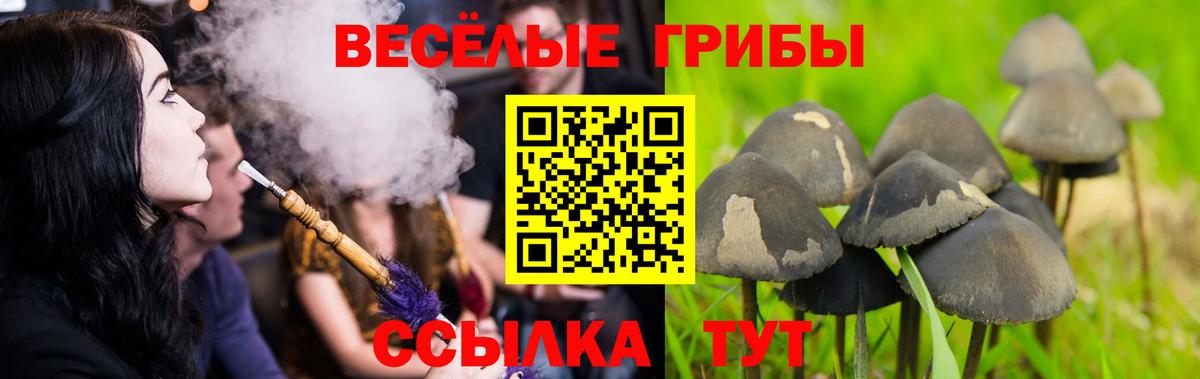Галлюциногенные грибы мухоморы  Галлюциногенные грибы прущие грибы  Чусовой  Вход с VPN 